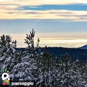 Dettaglio albero innevato con vista sul lago 2