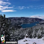 Dettaglio albero innevato con vista sul lago 3