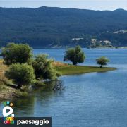 Dettaglio lago