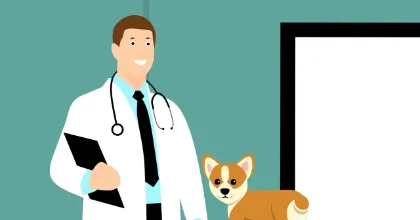 veterinario